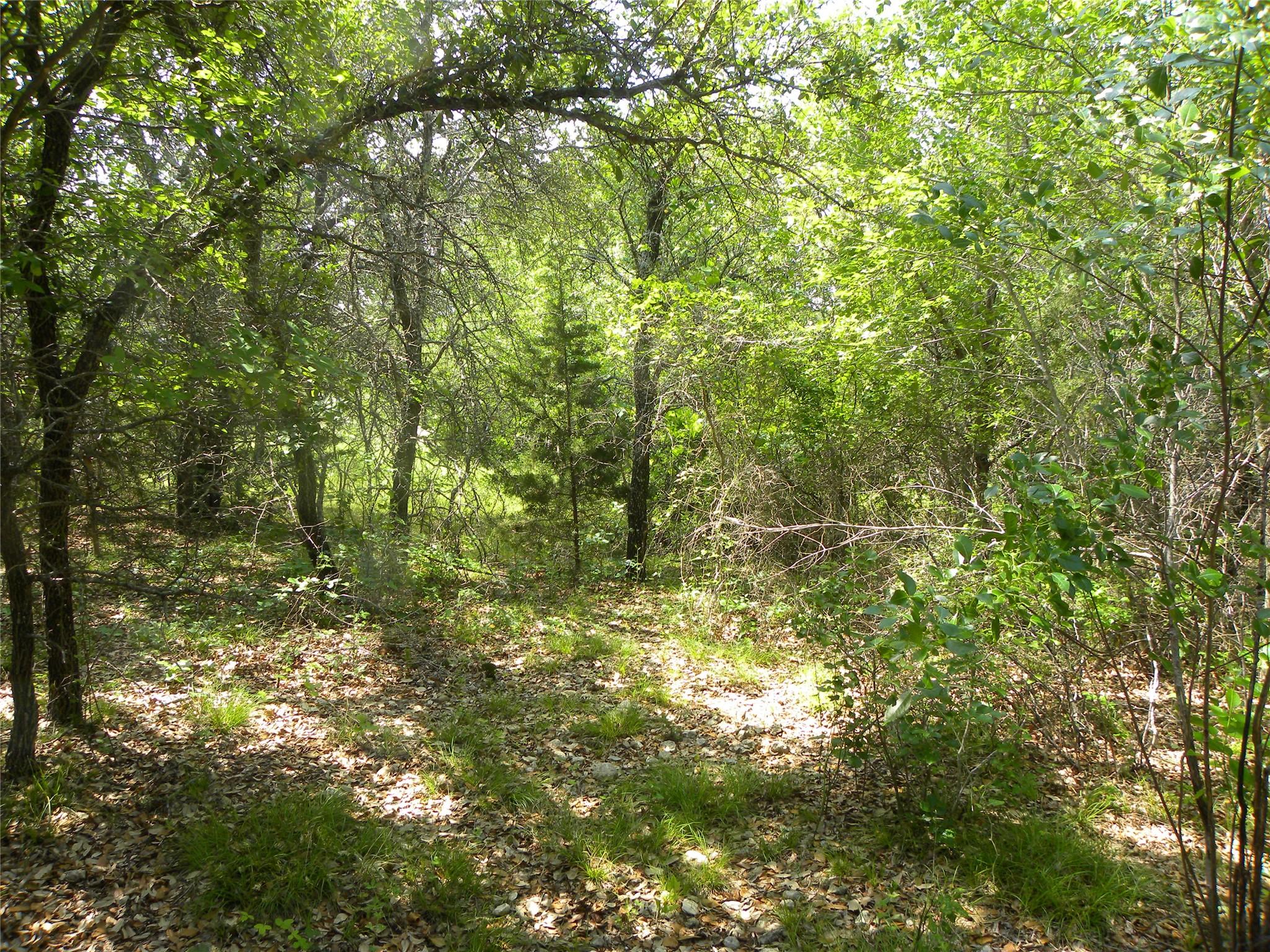Image 4 Image 4