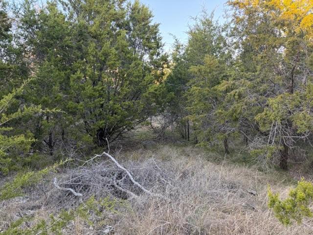 Image 4 Image 4