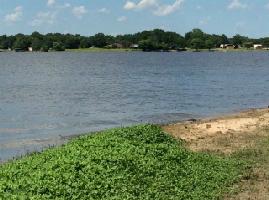1901 Lake Side Lot 8910