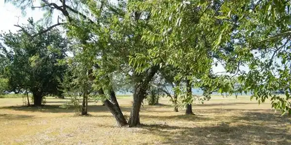 Francisco Bay Drive Lot 20