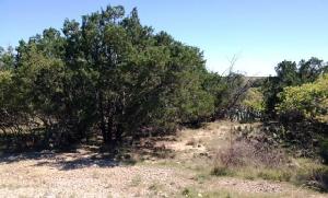 Lot 51 Glen Eagles Drive Lot 51