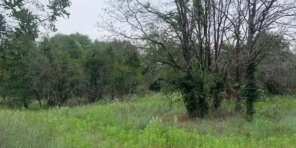 Image 3 Image 3