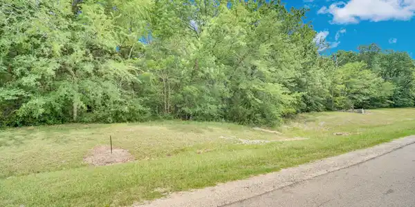 Image 4 Image 4