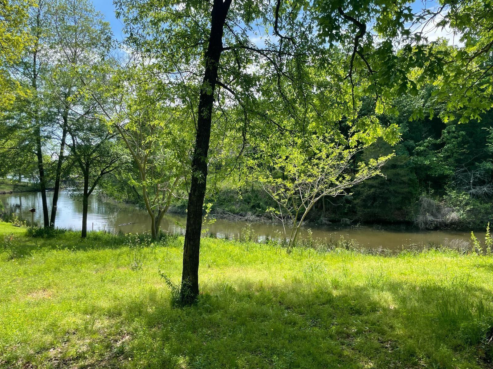Image 2 Image 2