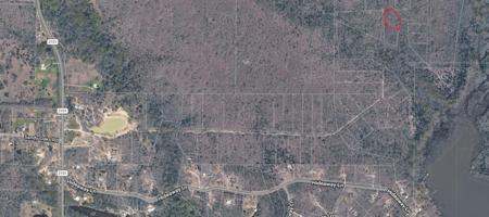 TBD Tayshas Woods Lot 42 Fm 2101