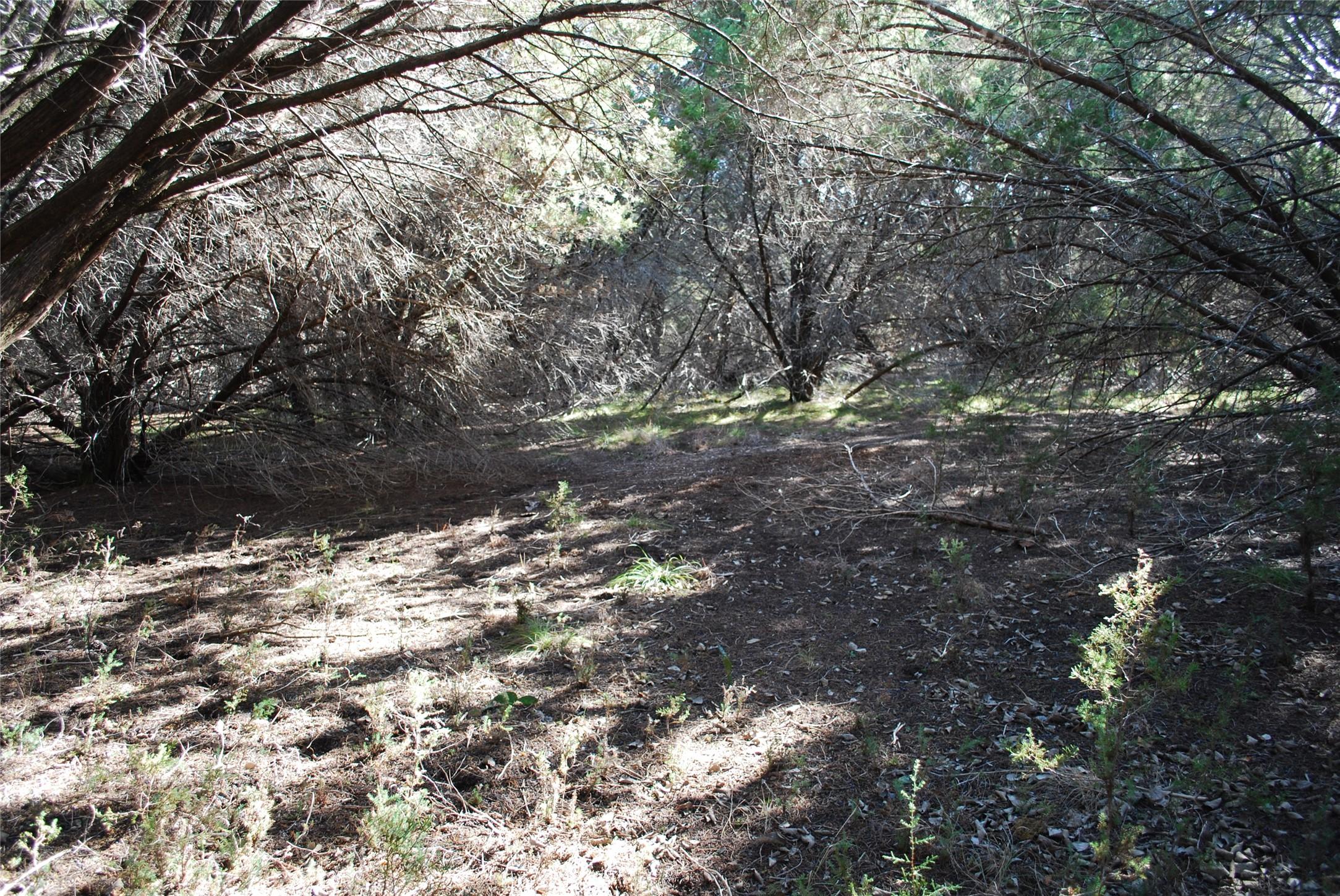 Image 2 Image 2