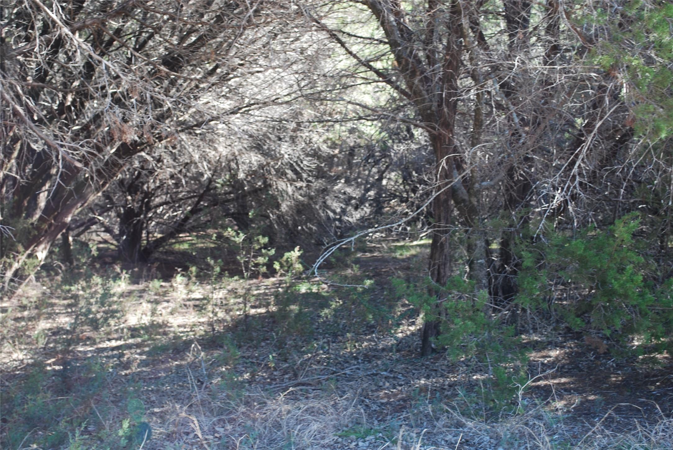 Image 3 Image 3