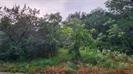 839 E Aquarius Court