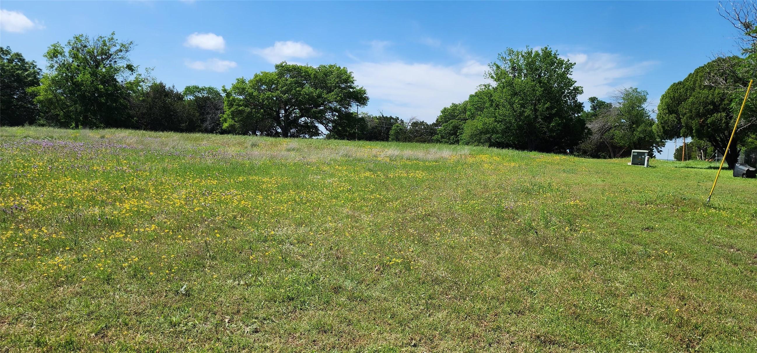 Image 4 Image 4