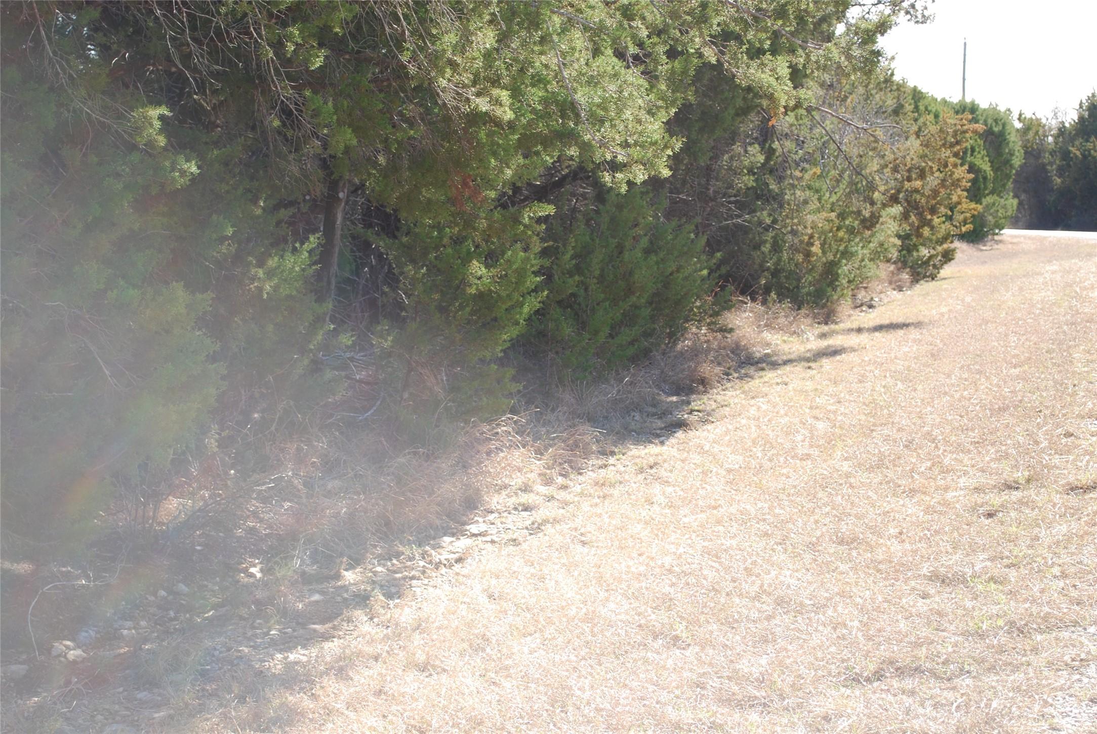 Image 4 Image 4