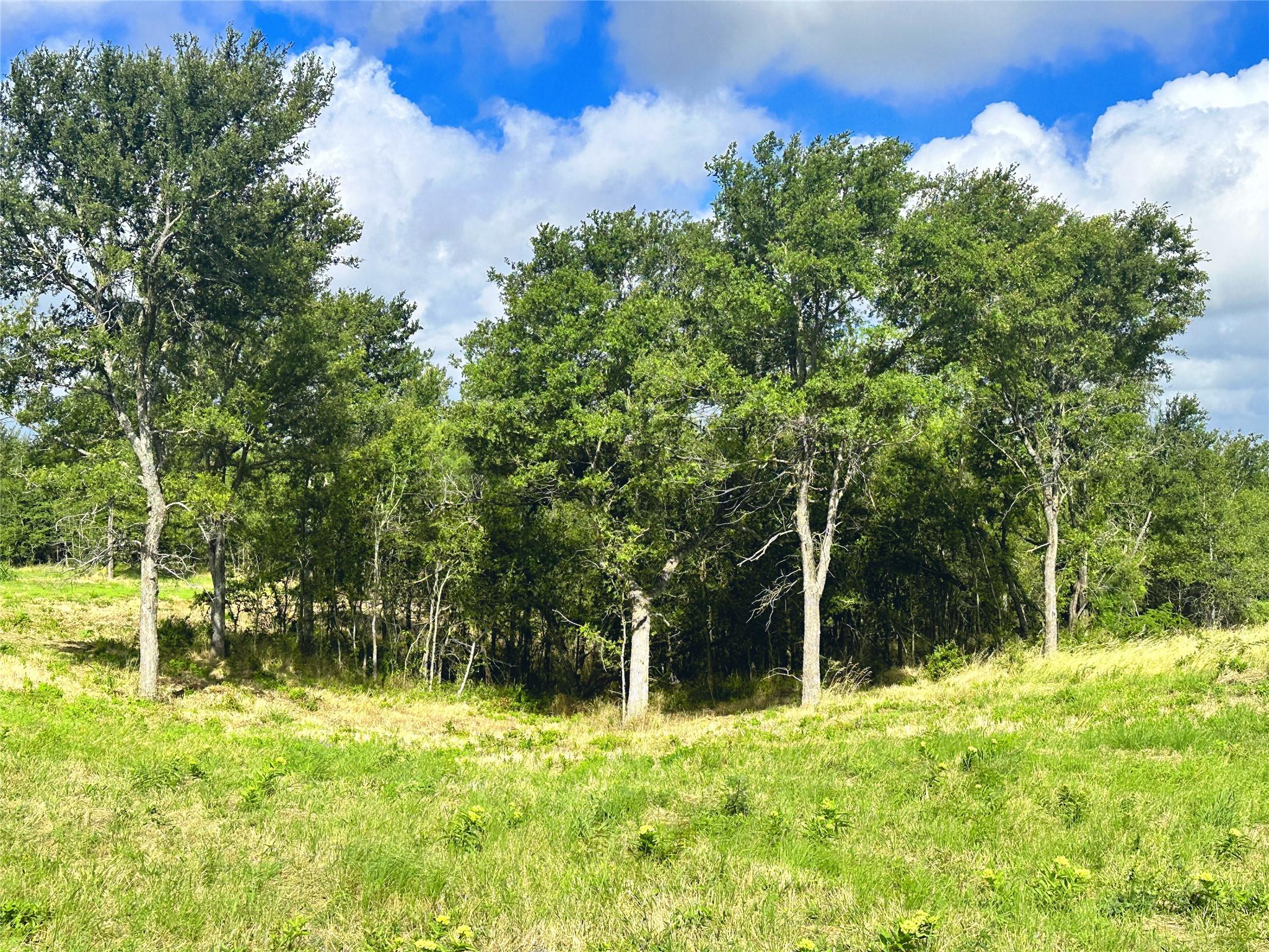 Image 3 Image 3