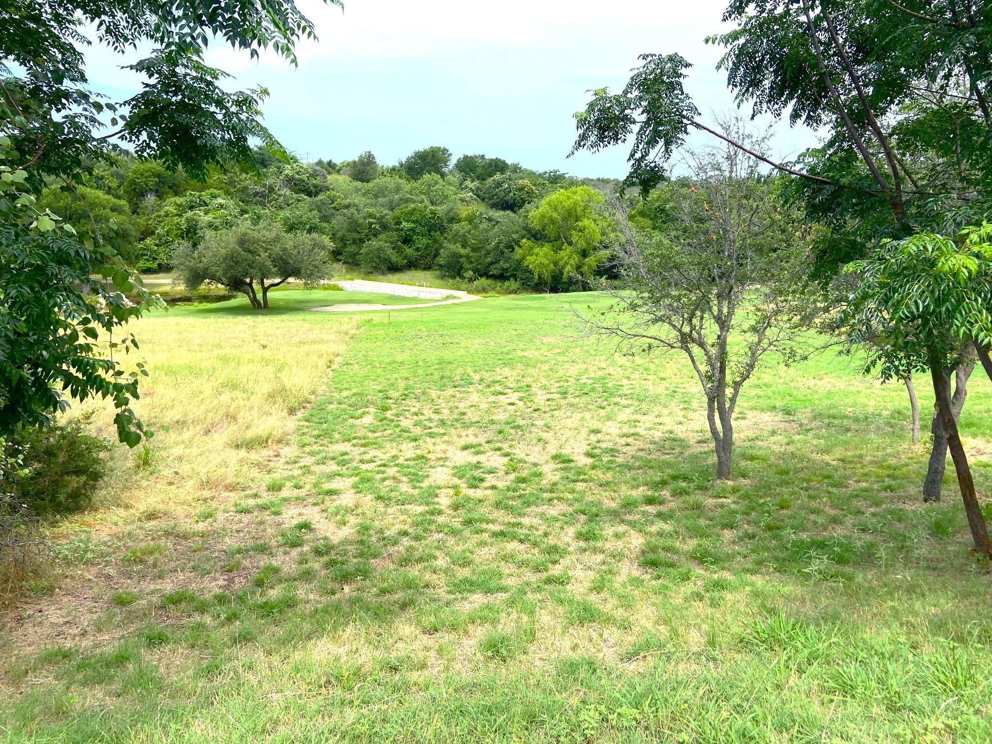 Image 4 Image 4