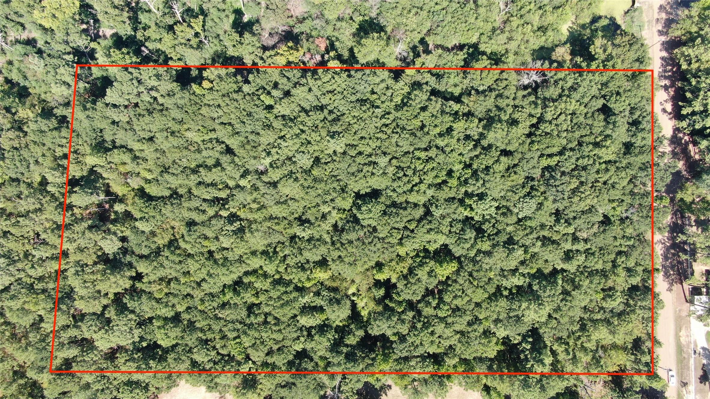 Image 4 Image 4