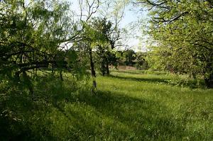 92 Marco Drive Lot 92