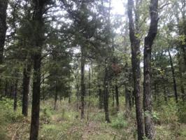 Lot 63 LT 63 Pine Grove Court