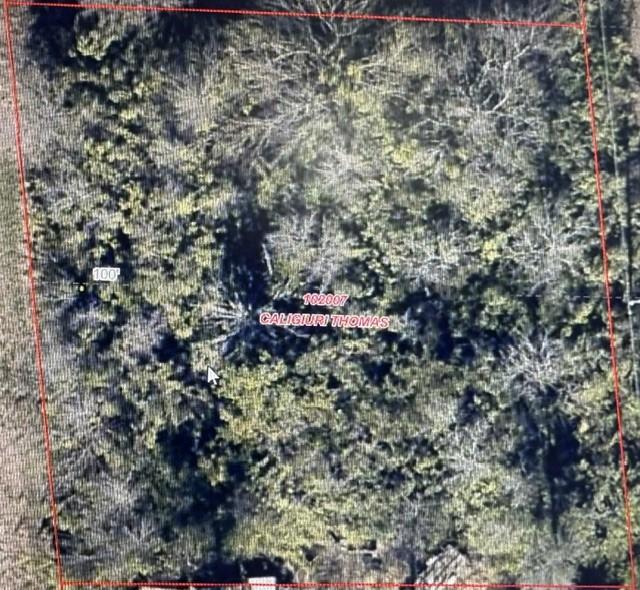 Image 1 Image 1