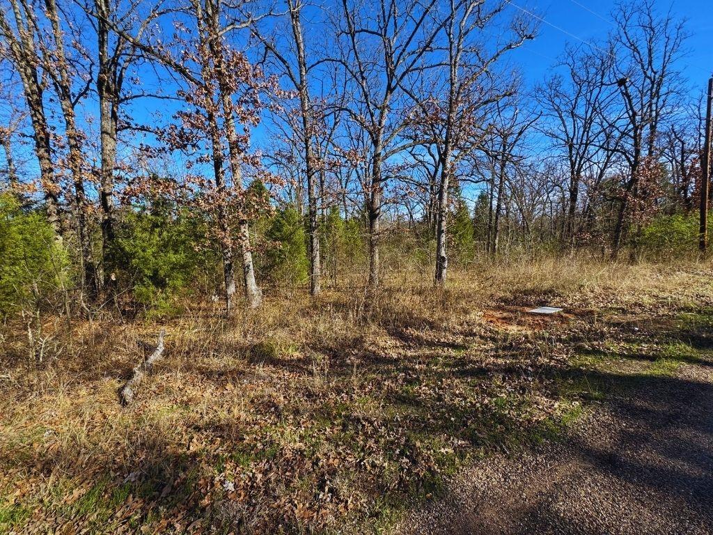 Image 4 Image 4
