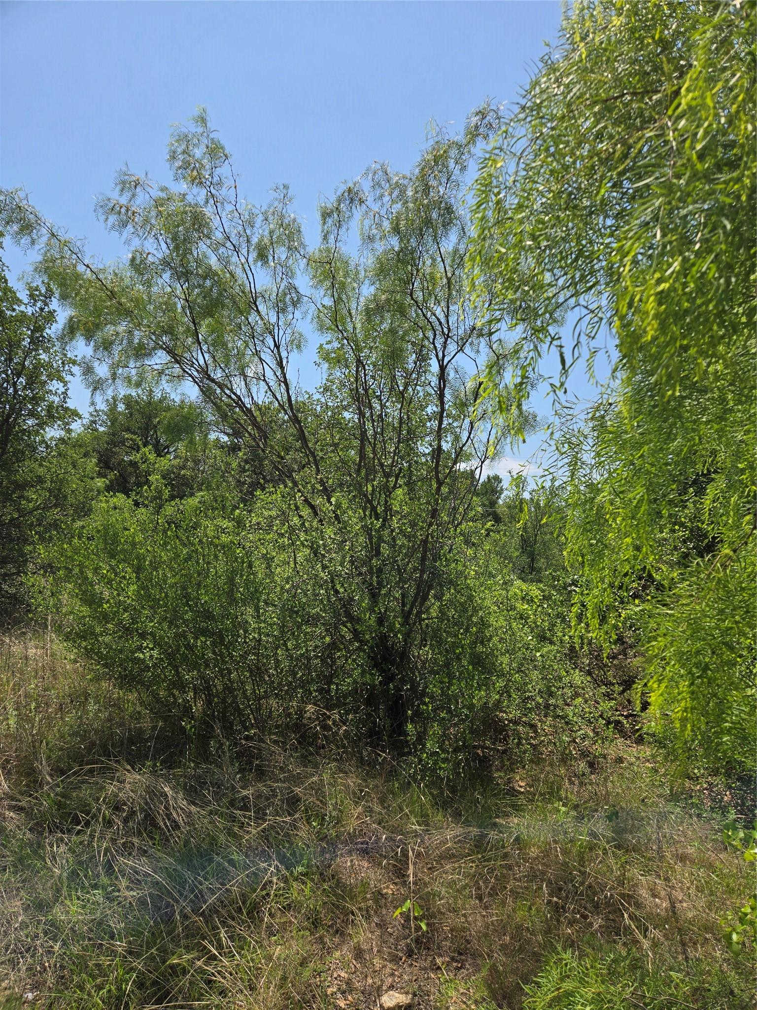 Image 2 Image 2