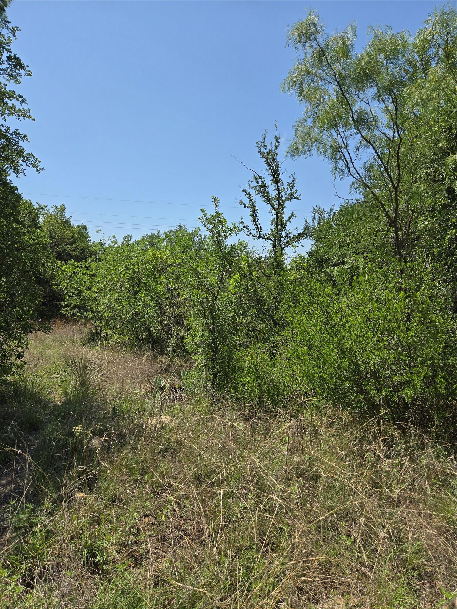 Image 3 Image 3