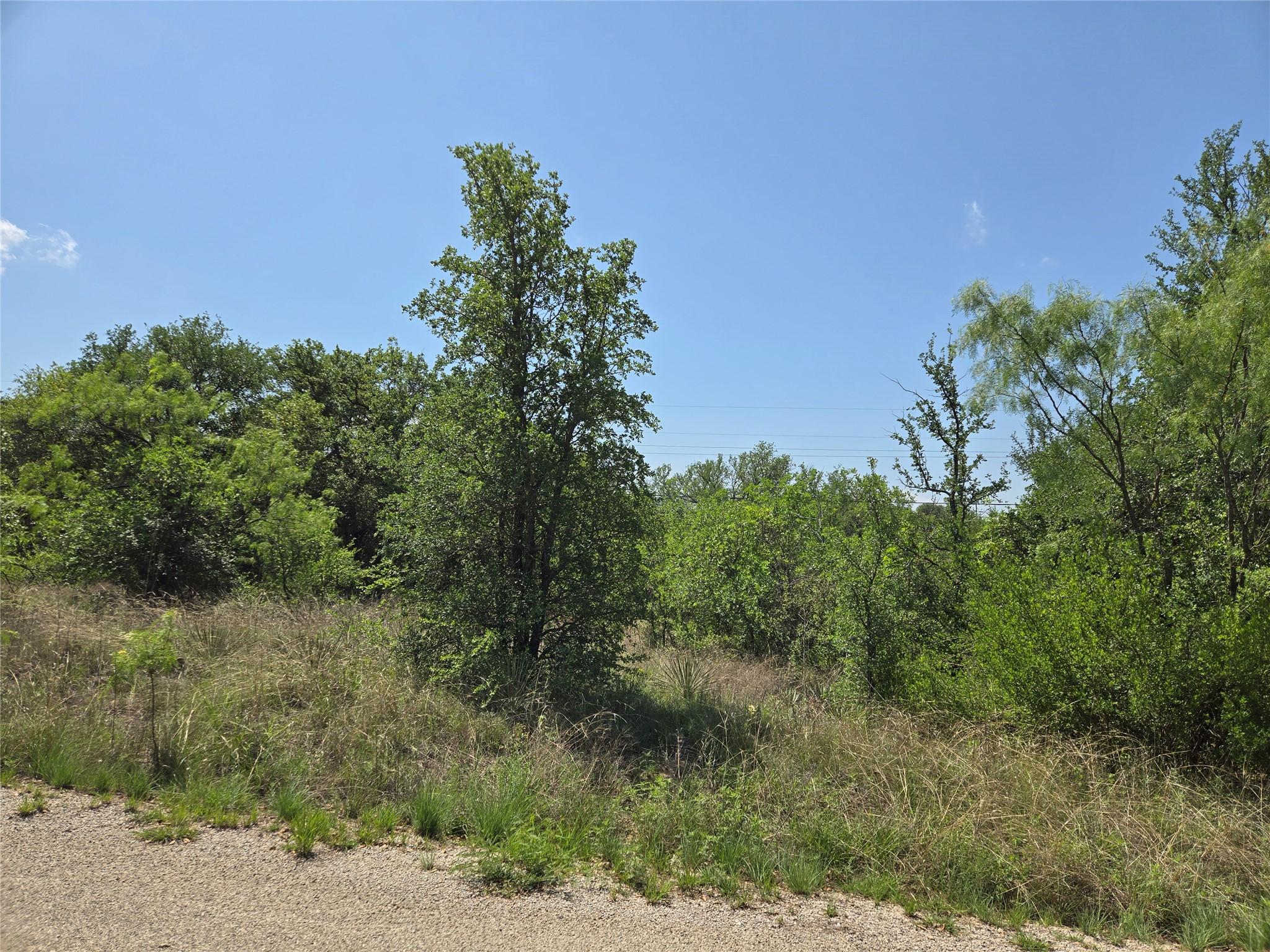Image 4 Image 4