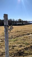 TBD Grand View Drive