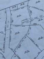 Lot 98 Lot 98 Robin Lane