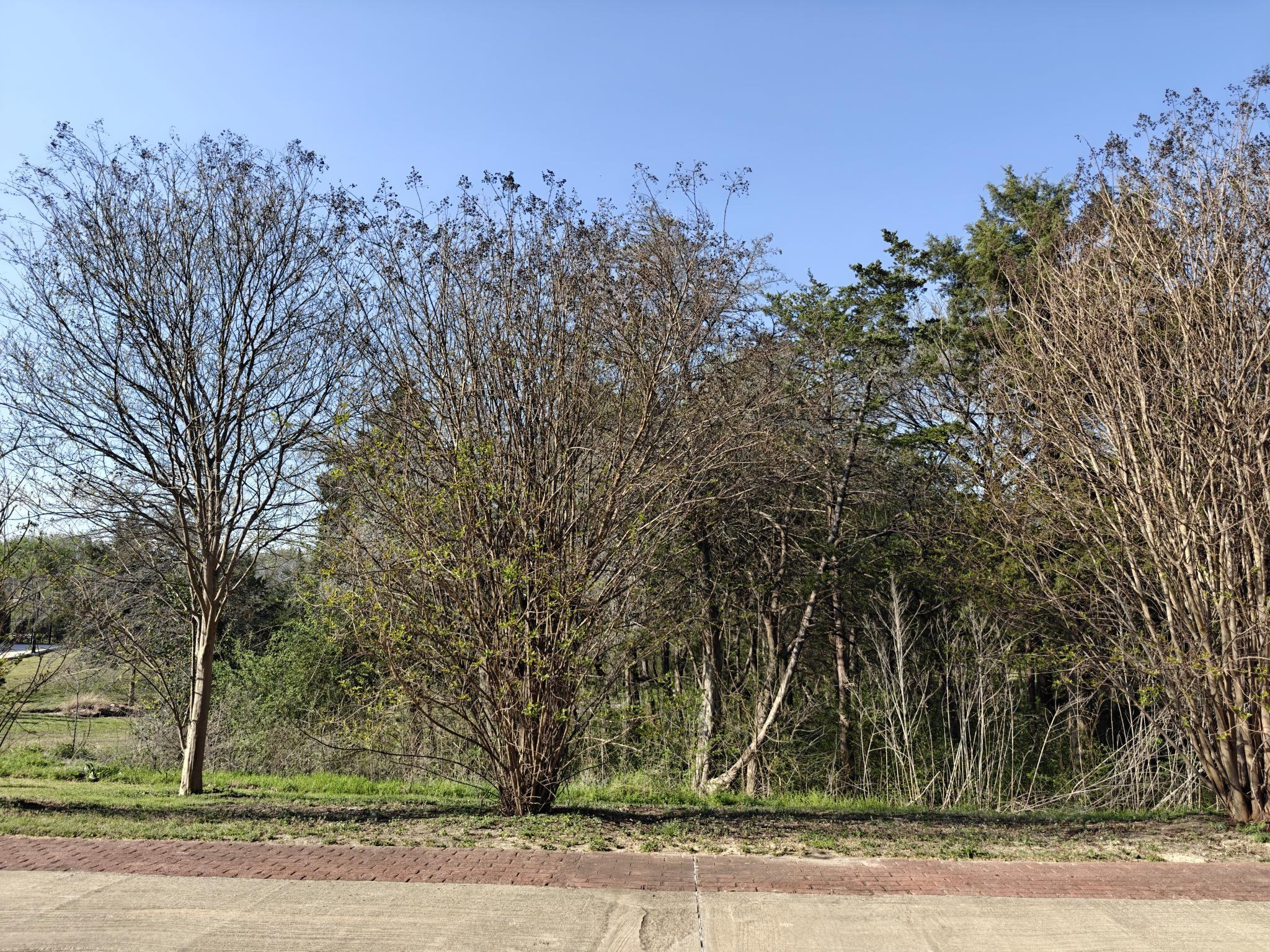 Image 2 Image 2