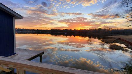 253 County Road 1445