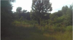 1747 Linton Road Cutoff