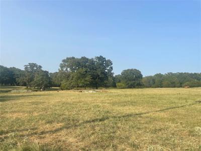 Tract 4 County Rd 2615