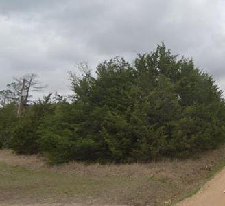 Lot 303 Green Briar Drive TBD