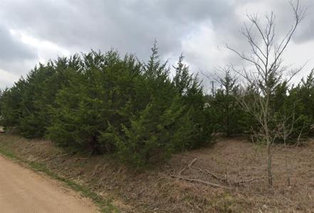 Lot 304 Green Briar Drive TBD