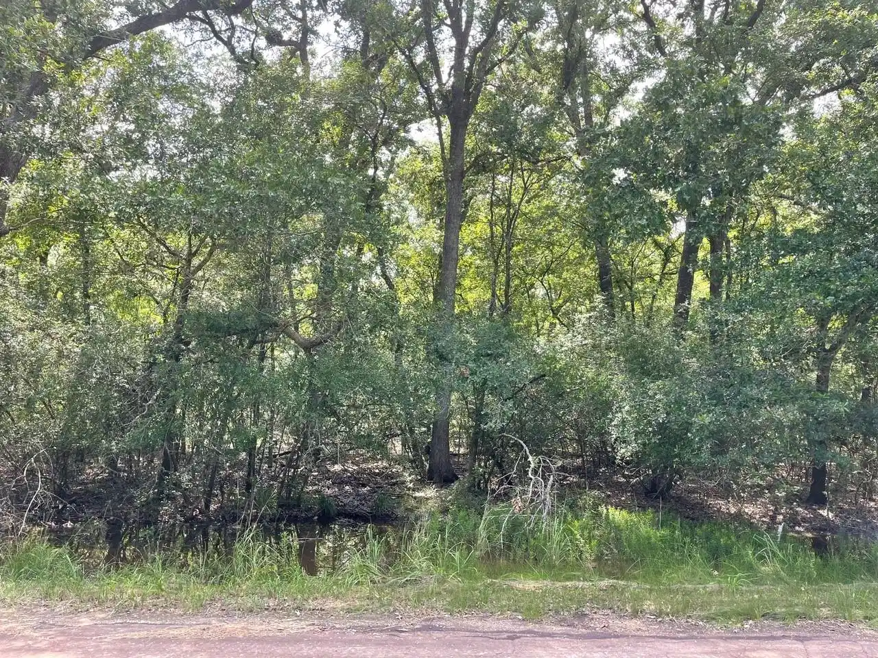 Image 1 Image 1