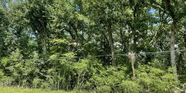 Image 4 Image 4