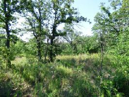 L 385 Moonlight Bay Drive Lot 385