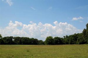 28 Fm 2225 & County Road 1297