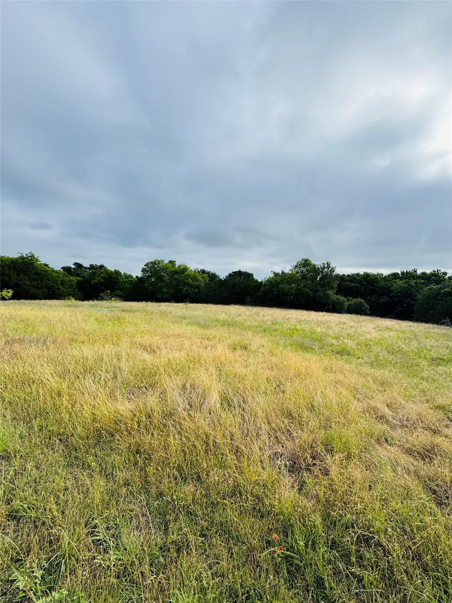 Image 4 Image 4