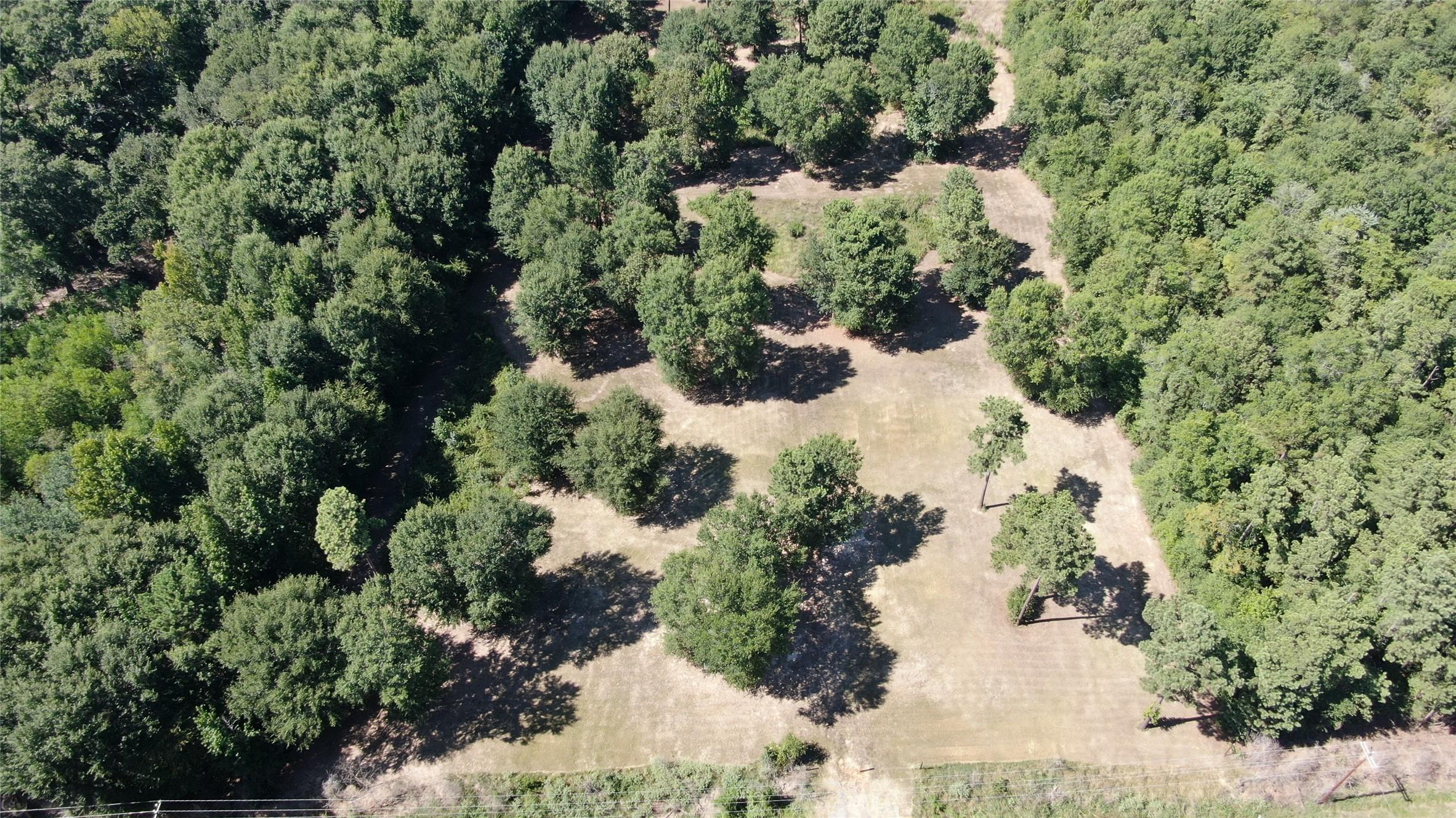 Image 3 Image 3