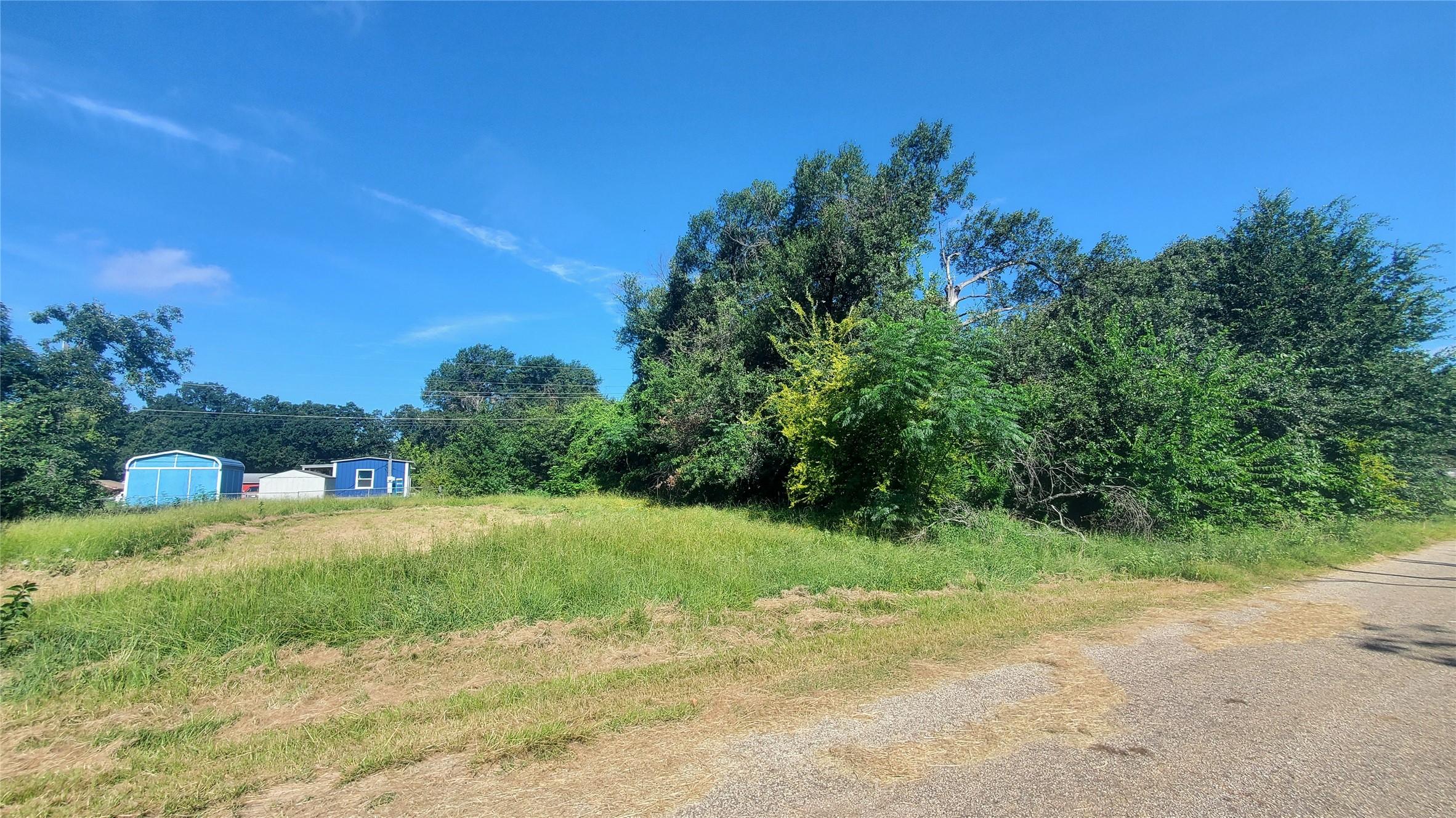 Image 4 Image 4