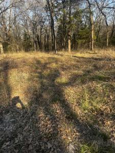 115 Inca Trail