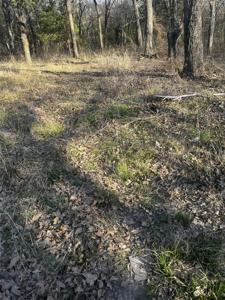 117 Inca Trail
