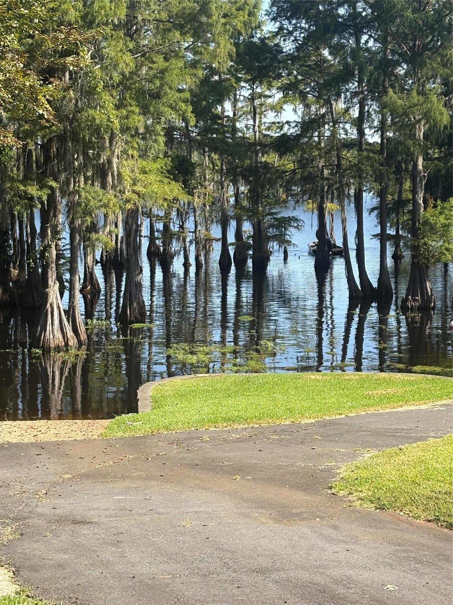 Image 1 Image 1