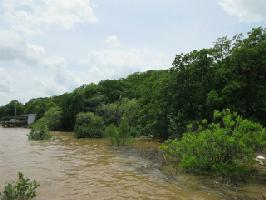 0 Storey Road Lot 11