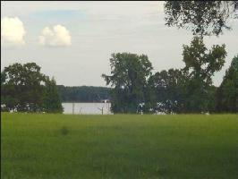 Lot 12 County Road 1862