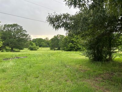 10229 State Highway 31 W