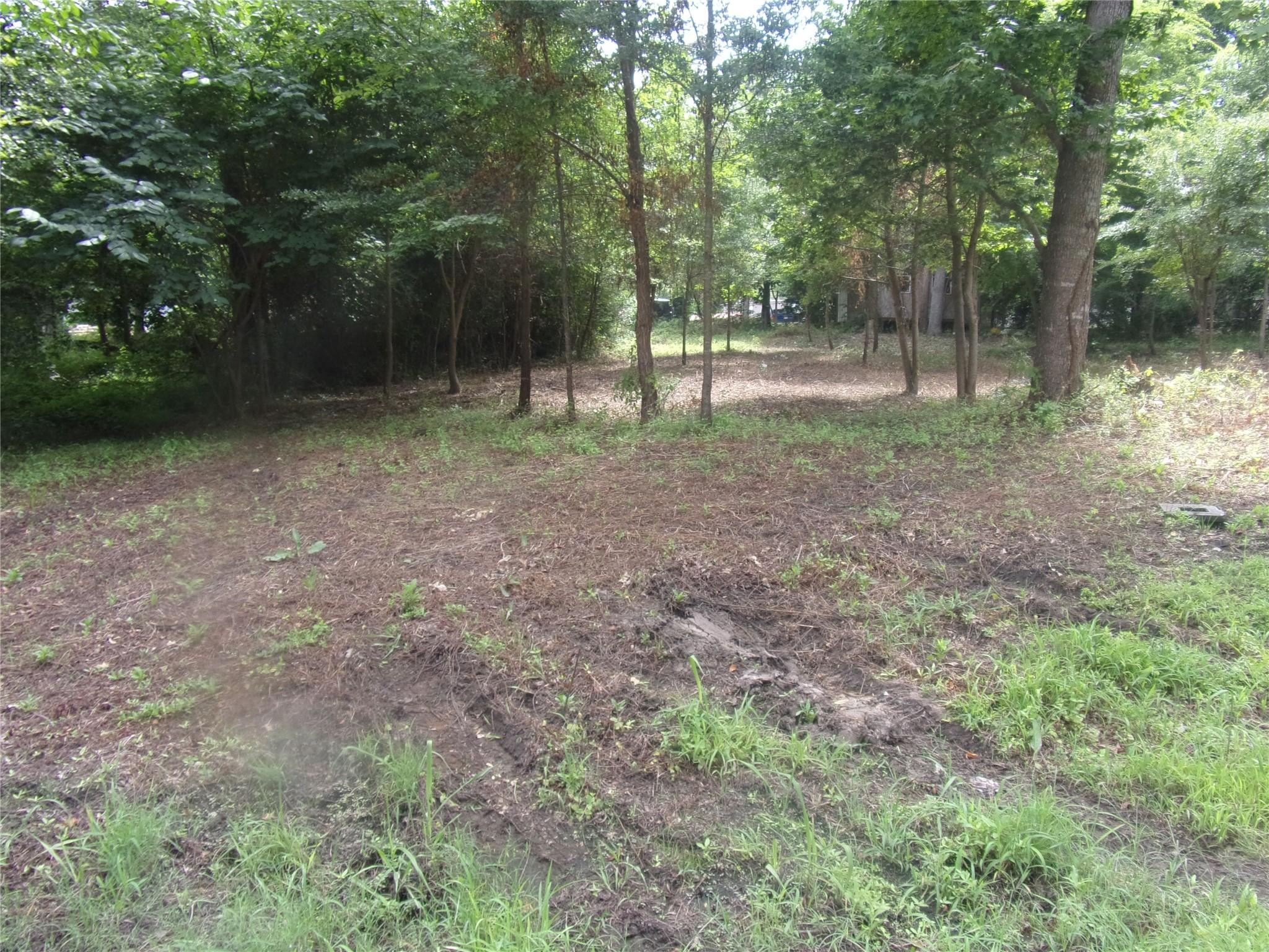 Image 2 Image 2
