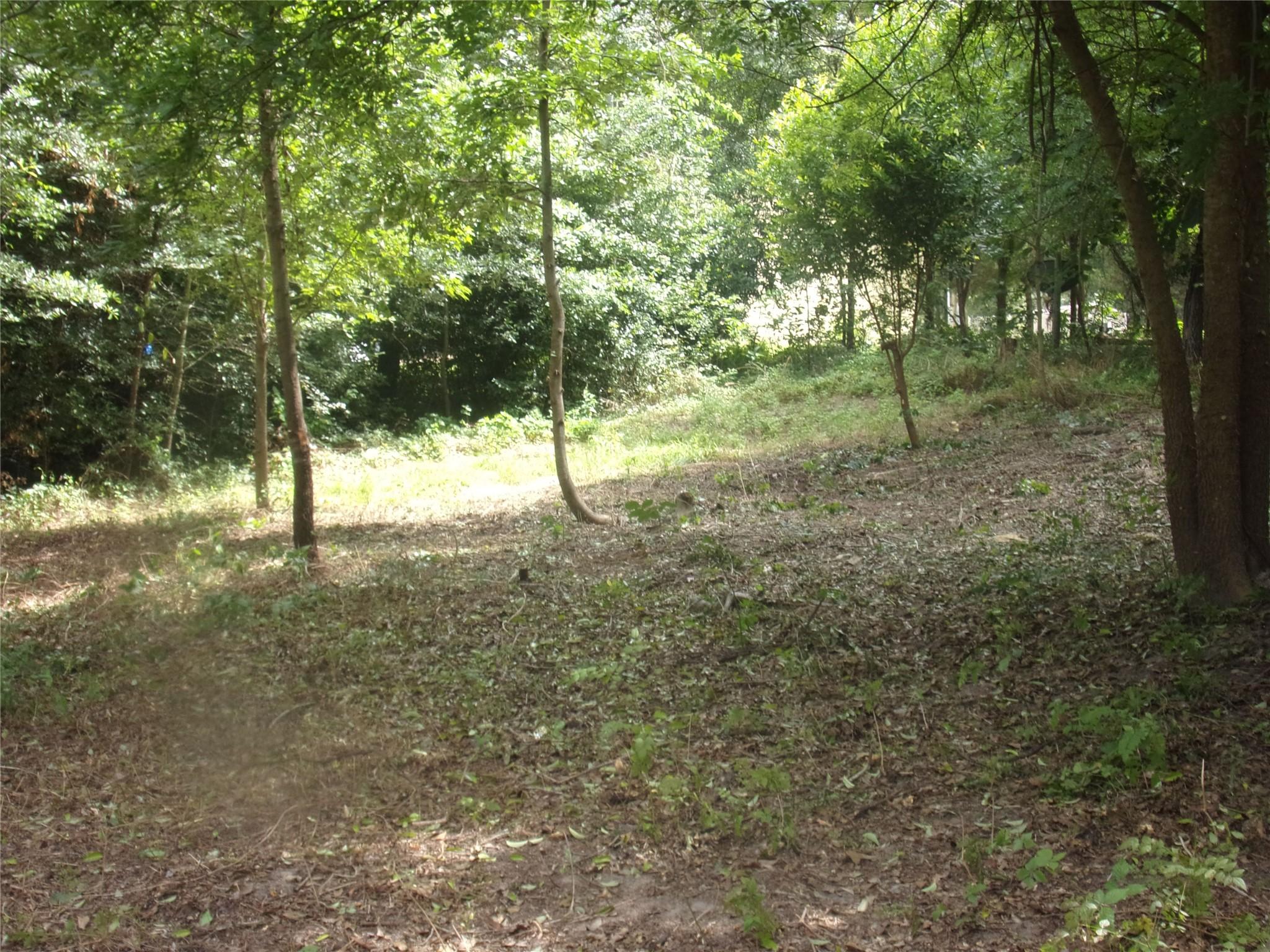 Image 3 Image 3