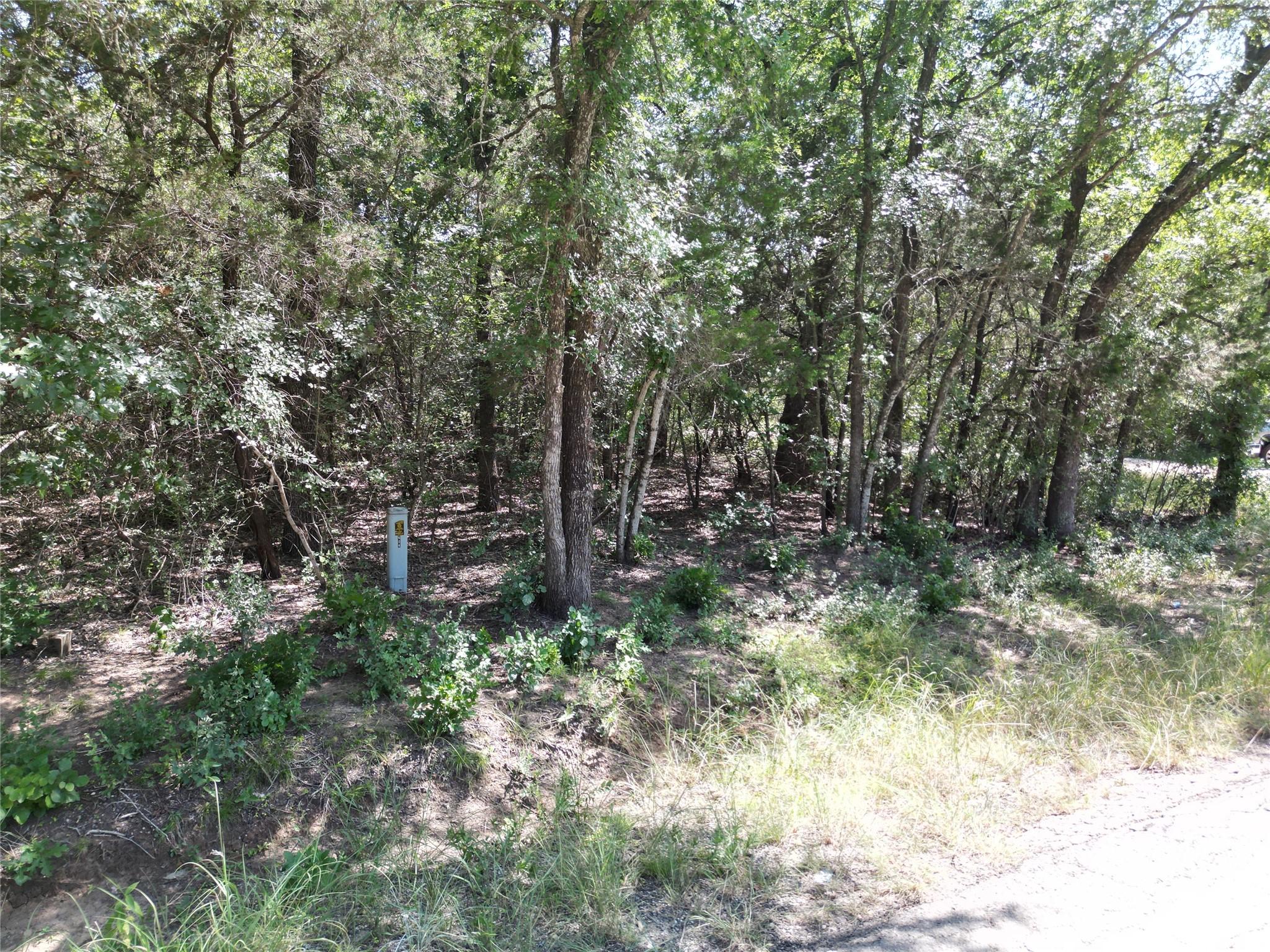 Image 4 Image 4