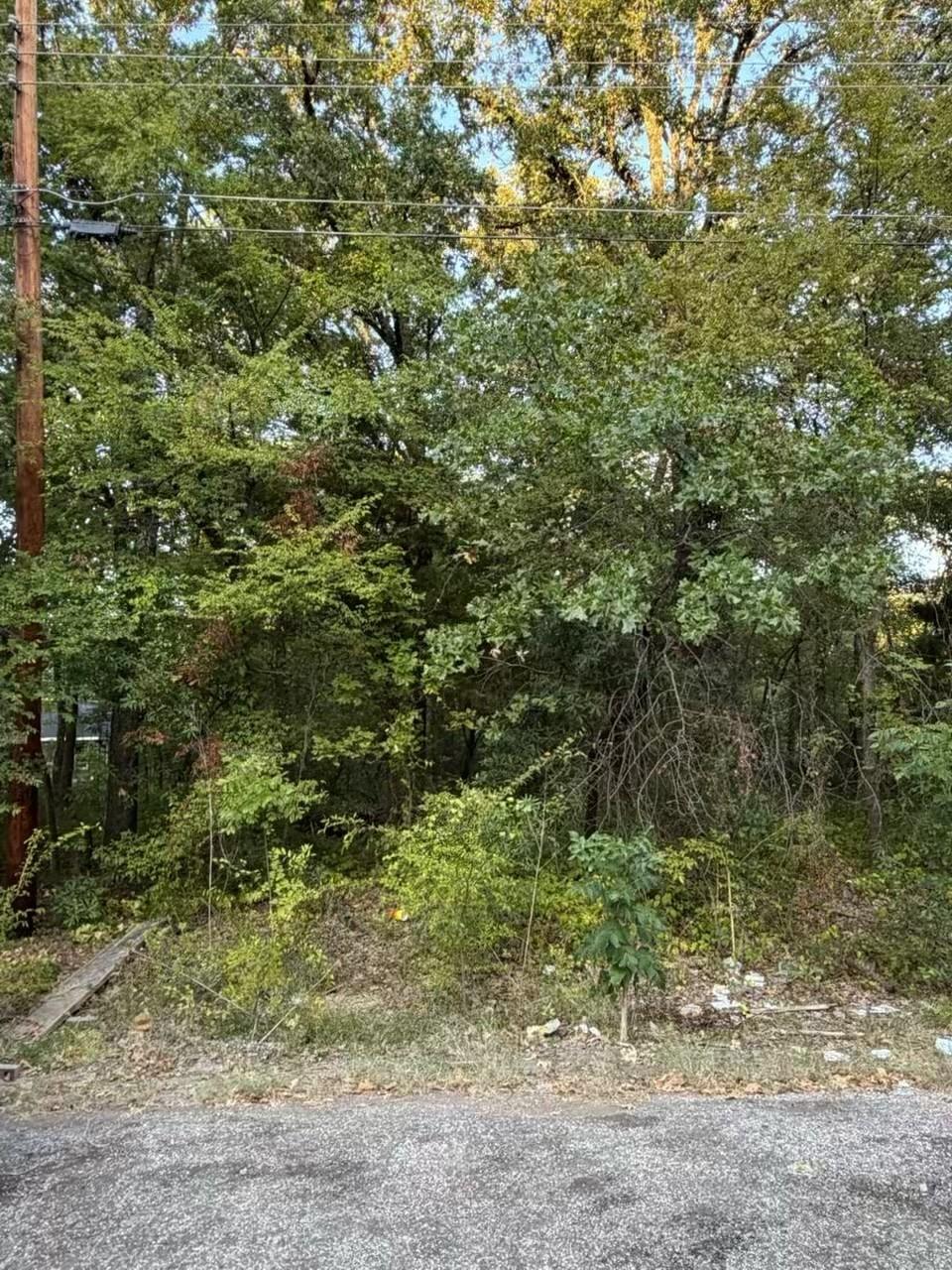 Image 1 Image 1