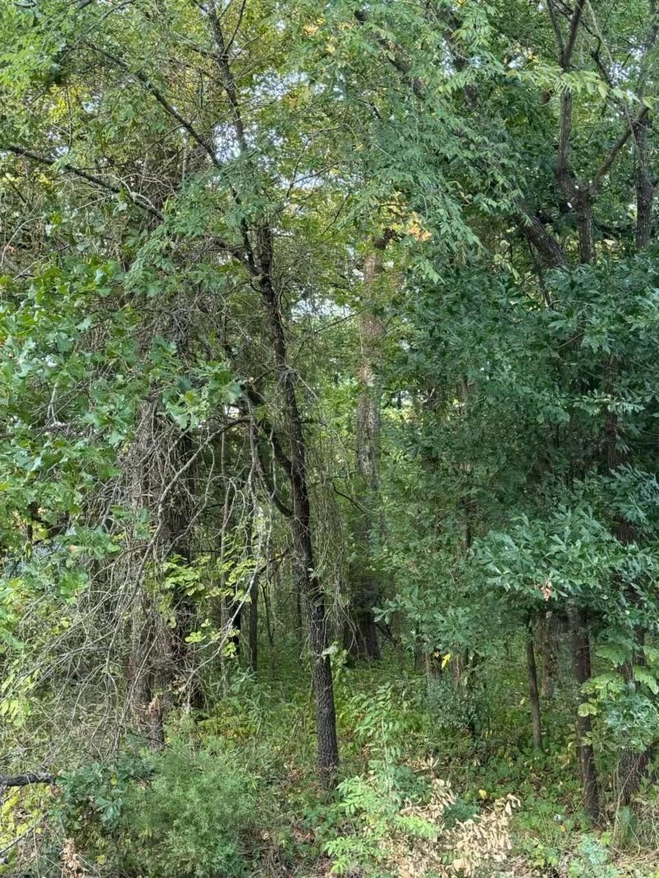 Image 3 Image 3